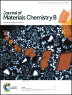 Peng, Haisheng; Liu, Xiaoying; Wang, Guangtian; Li, Minghui; Bratlie, Kaitlin M.; Cochran, Eric W.; Wang, Qun. “Polymeric Multifunctional Nanomaterials for Theranostics”. J. Mater. Chem. B, 3(34), 6856–6870 July 2015.