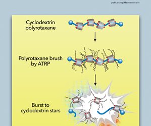 Hernández, Nacú; Benson, Calvin; Cochran, Eric W. “Thermodynamics of Symmetric Diblock Copolymers Containing Poly (styrene-ran-styrenesulfonic acid)”. Macromolecules, 46(1), 179–187 December 2012.