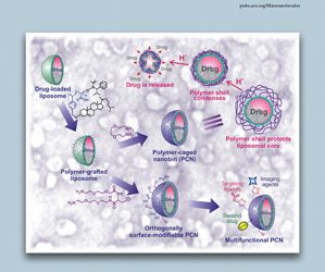 Kalluru, Sri Harsha; Cochran, Eric W. “Synthesis of Polyolefin/Layered Silicate Nanocomposites via Surface-Initiated Ring-Opening Metathesis Polymerization”. Macromolecules, 46(23), 9324–9332 November 2013.