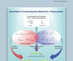 Bergman, James A.; Hernández, Nacú B.; Cochran, Eric W.; Heinen, Jennifer M. “Thermodynamics of Chain Architecture in Acrylic Block Terpolymers”. Macromolecules, 47(17), 5960–5970 August 2014.